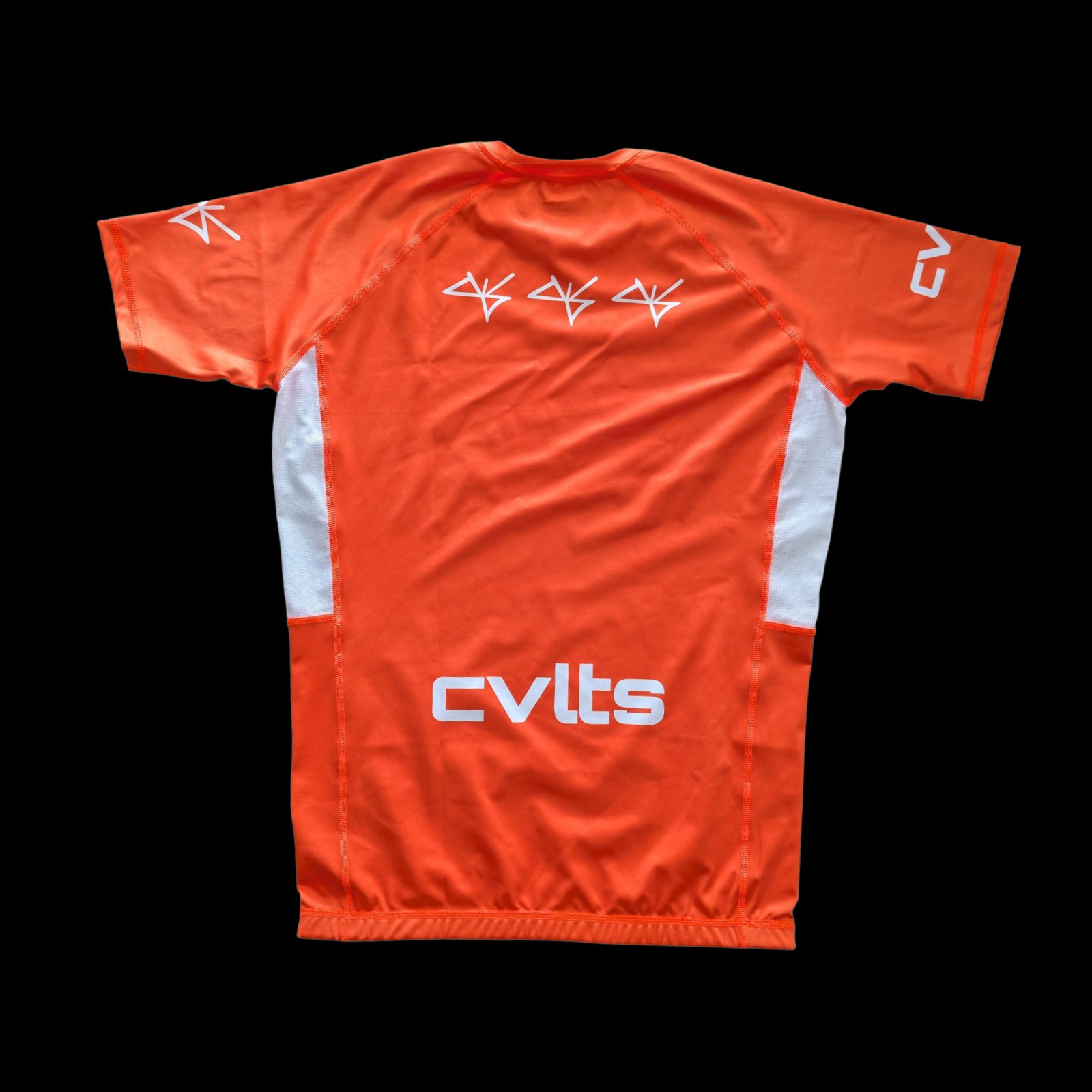 Standard Issue Orange Rashguard back