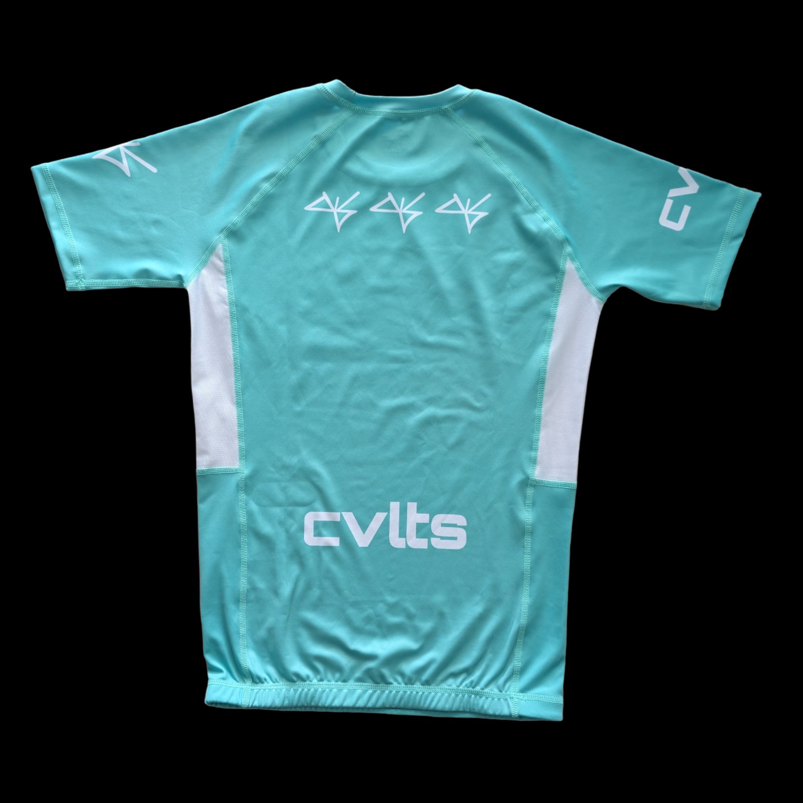 Standard Issue Teal Rashguard back